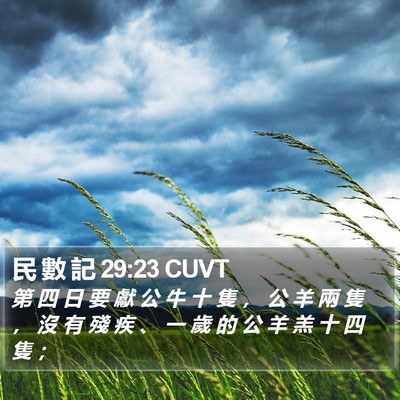 民 數 記 29:23 CUVT Bible Verse Image