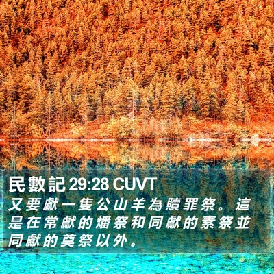 民 數 記 29:28 CUVT Bible Verse Image