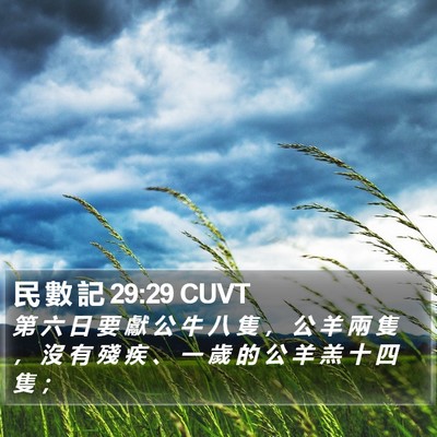 民 數 記 29:29 CUVT Bible Verse Image