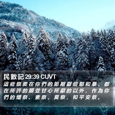 民 數 記 29:39 CUVT Bible Verse Image
