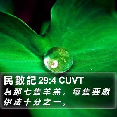 民 數 記 29:4 CUVT Bible Verse Image