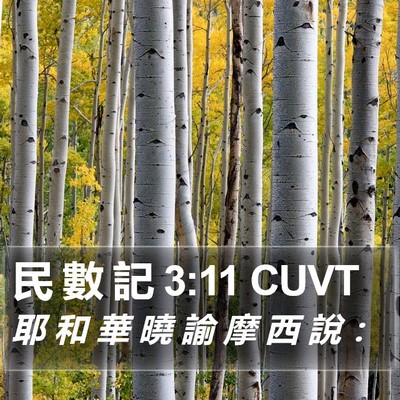 民 數 記 3:11 CUVT Bible Verse Image