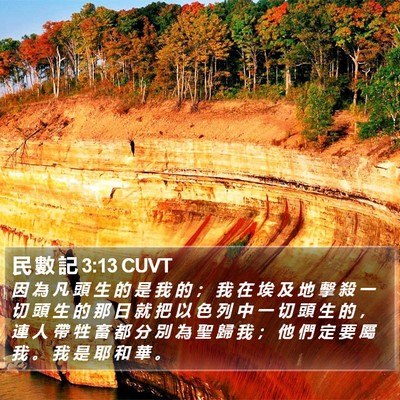 民 數 記 3:13 CUVT Bible Verse Image
