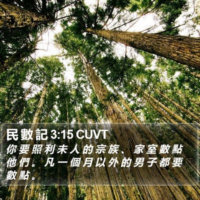民 數 記 3:15 CUVT Bible Verse Image
