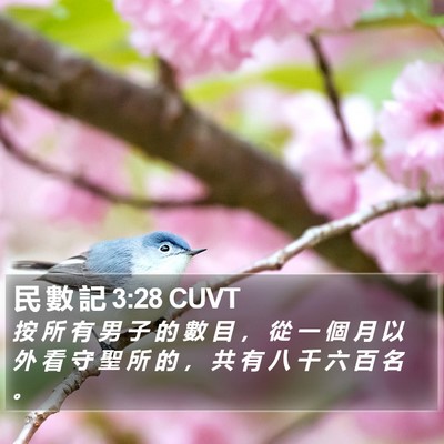 民 數 記 3:28 CUVT Bible Verse Image