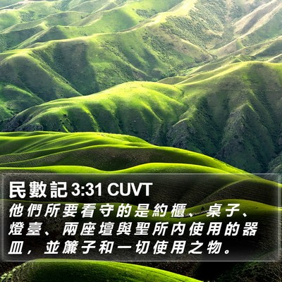 民 數 記 3:31 CUVT Bible Verse Image