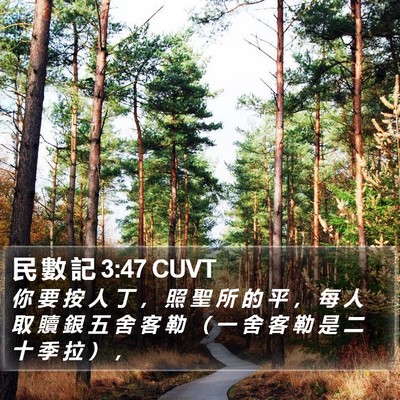 民 數 記 3:47 CUVT Bible Verse Image