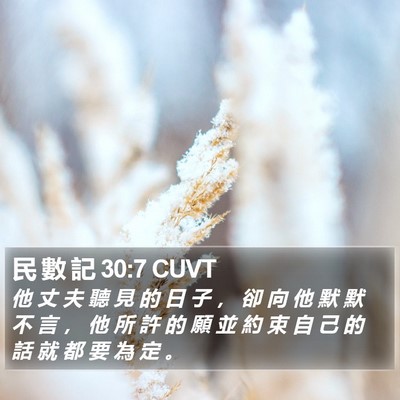 民 數 記 30:7 CUVT Bible Verse Image