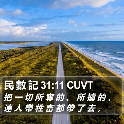 民 數 記 31:11 CUVT Bible Verse Image