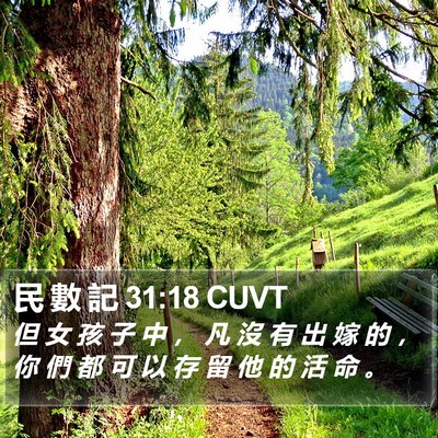 民 數 記 31:18 CUVT Bible Verse Image