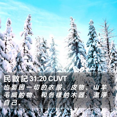 民 數 記 31:20 CUVT Bible Verse Image