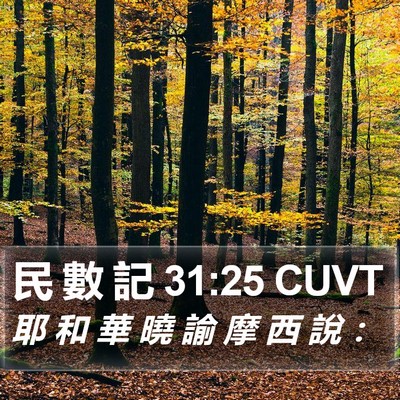 民 數 記 31:25 CUVT Bible Verse Image