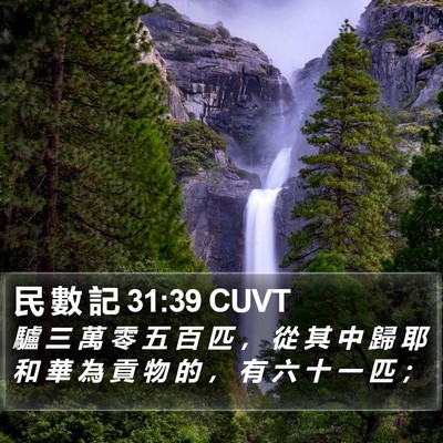 民 數 記 31:39 CUVT Bible Verse Image