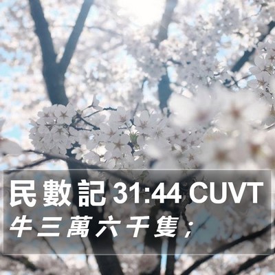 民 數 記 31:44 CUVT Bible Verse Image