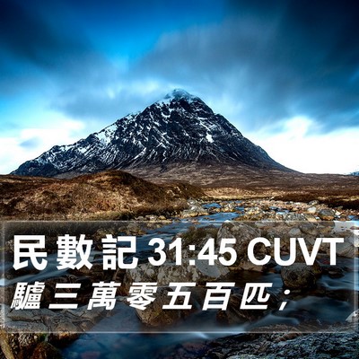 民 數 記 31:45 CUVT Bible Verse Image