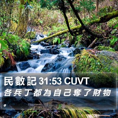 民 數 記 31:53 CUVT Bible Verse Image