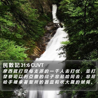 民 數 記 31:6 CUVT Bible Verse Image