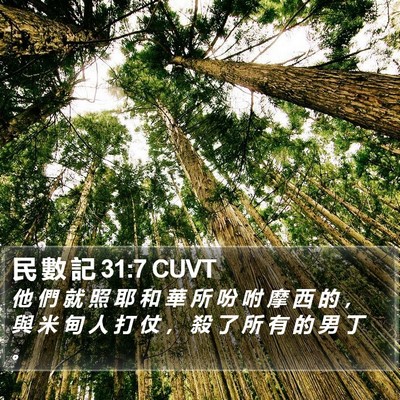 民 數 記 31:7 CUVT Bible Verse Image