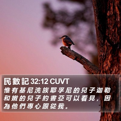 民 數 記 32:12 CUVT Bible Verse Image