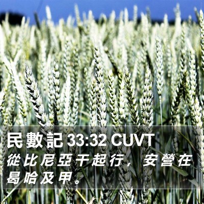 民 數 記 33:32 CUVT Bible Verse Image