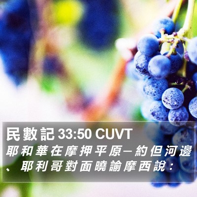 民 數 記 33:50 CUVT Bible Verse Image