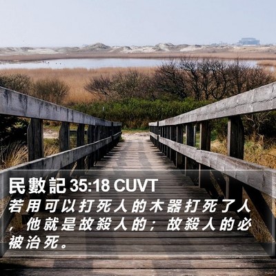 民 數 記 35:18 CUVT Bible Verse Image