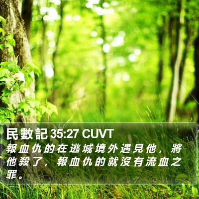 民 數 記 35:27 CUVT Bible Verse Image