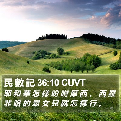 民 數 記 36:10 CUVT Bible Verse Image