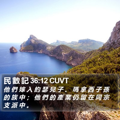 民 數 記 36:12 CUVT Bible Verse Image