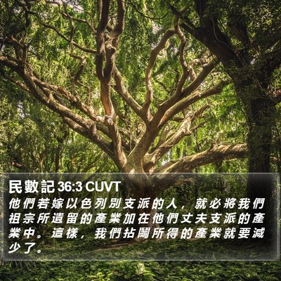 民 數 記 36:3 CUVT Bible Verse Image