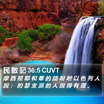 民 數 記 36:5 CUVT Bible Verse Image