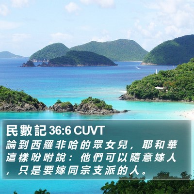 民 數 記 36:6 CUVT Bible Verse Image