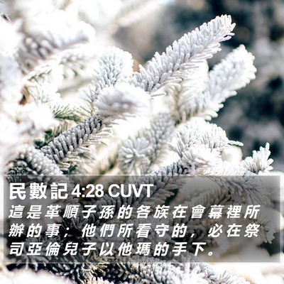 民 數 記 4:28 CUVT Bible Verse Image