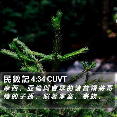 民 數 記 4:34 CUVT Bible Verse Image