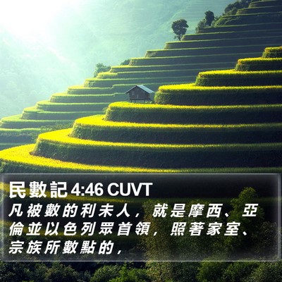 民 數 記 4:46 CUVT Bible Verse Image