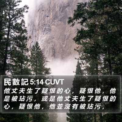 民 數 記 5:14 CUVT Bible Verse Image