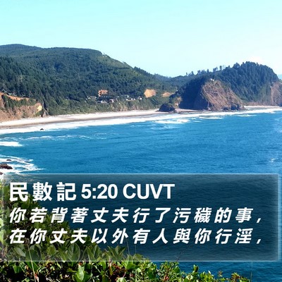 民 數 記 5:20 CUVT Bible Verse Image