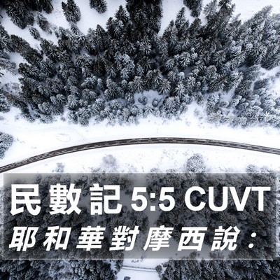 民 數 記 5:5 CUVT Bible Verse Image