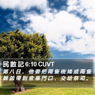 民 數 記 6:10 CUVT Bible Verse Image