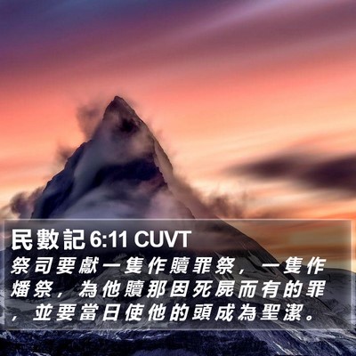 民 數 記 6:11 CUVT Bible Verse Image