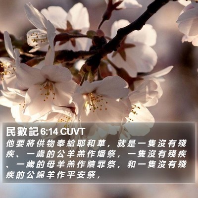 民 數 記 6:14 CUVT Bible Verse Image