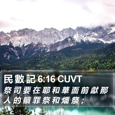 民 數 記 6:16 CUVT Bible Verse Image