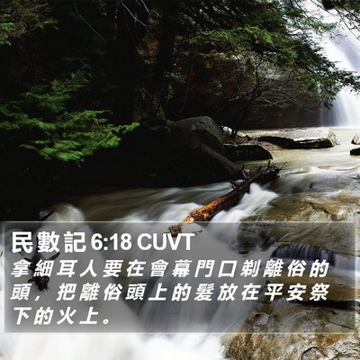民 數 記 6:18 CUVT Bible Verse Image