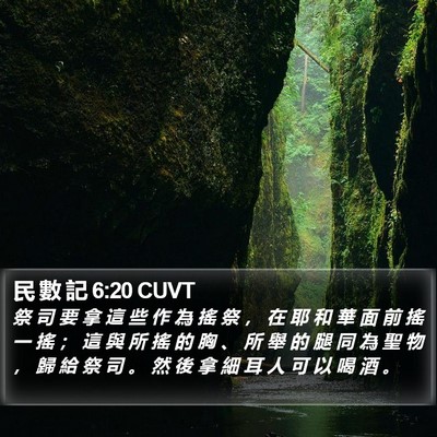 民 數 記 6:20 CUVT Bible Verse Image