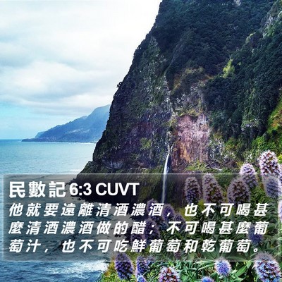 民 數 記 6:3 CUVT Bible Verse Image