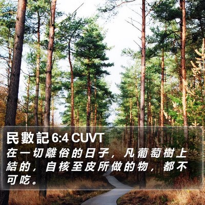 民 數 記 6:4 CUVT Bible Verse Image