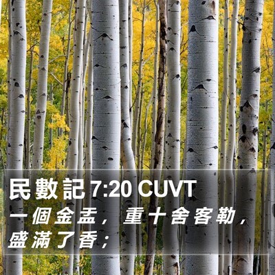 民 數 記 7:20 CUVT Bible Verse Image