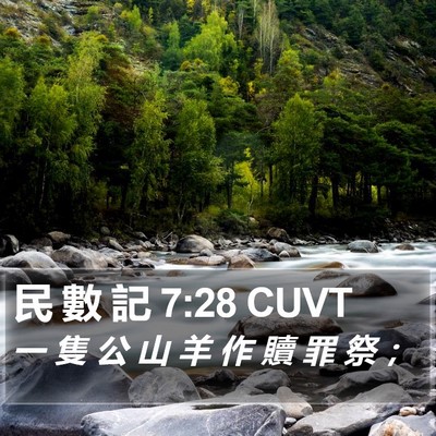 民 數 記 7:28 CUVT Bible Verse Image