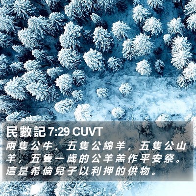民 數 記 7:29 CUVT Bible Verse Image