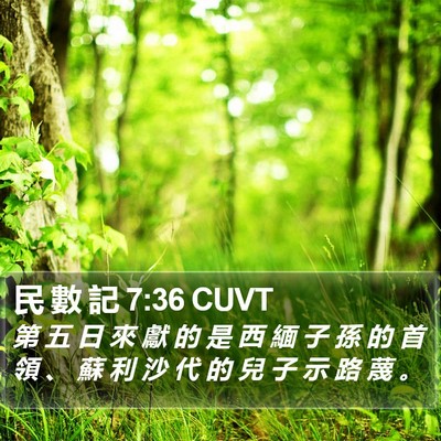 民 數 記 7:36 CUVT Bible Verse Image
